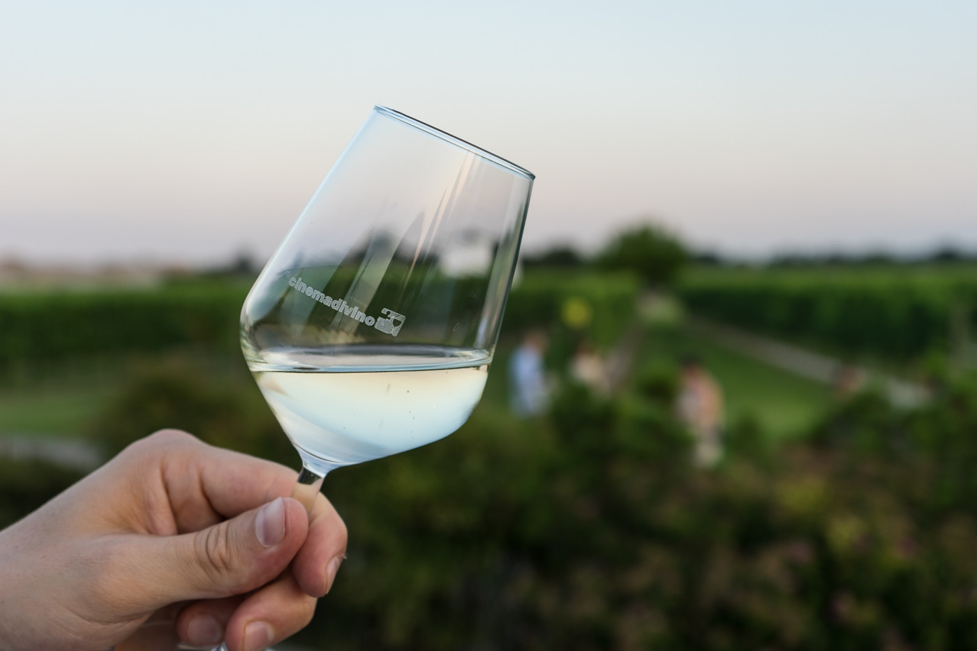 Cinque bottiglie di Cormons nella guida dei vini più buoni d'Italia