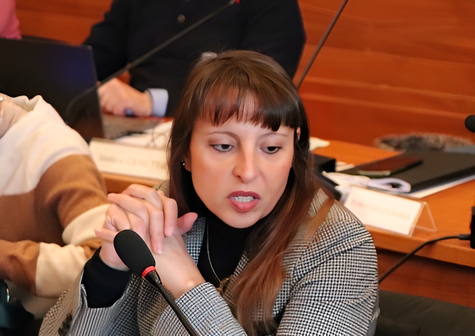 Copertina per Bagarre in commissione a Gorizia, la coordinatrice esce e seduta finita