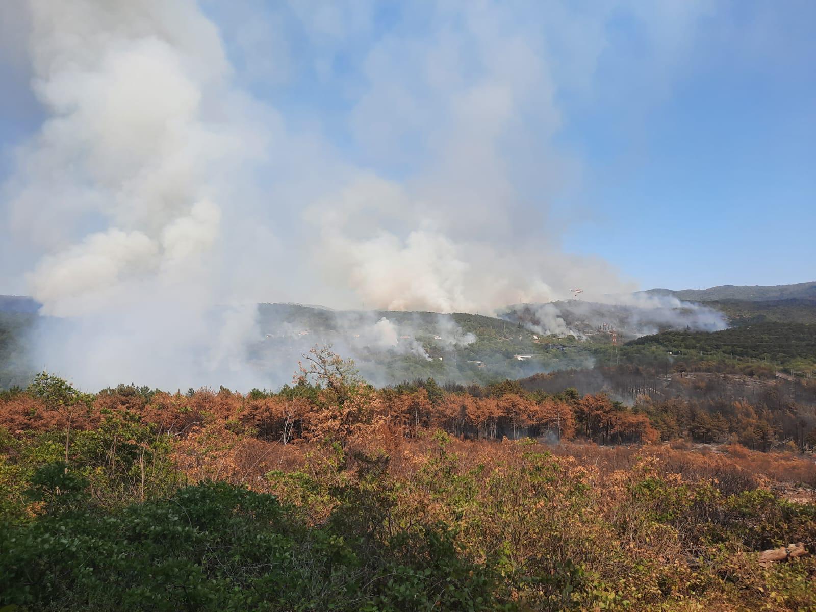 Copertina per A piedi sul Carso segnato dagli incendi, escursione a Doberdò del Lago