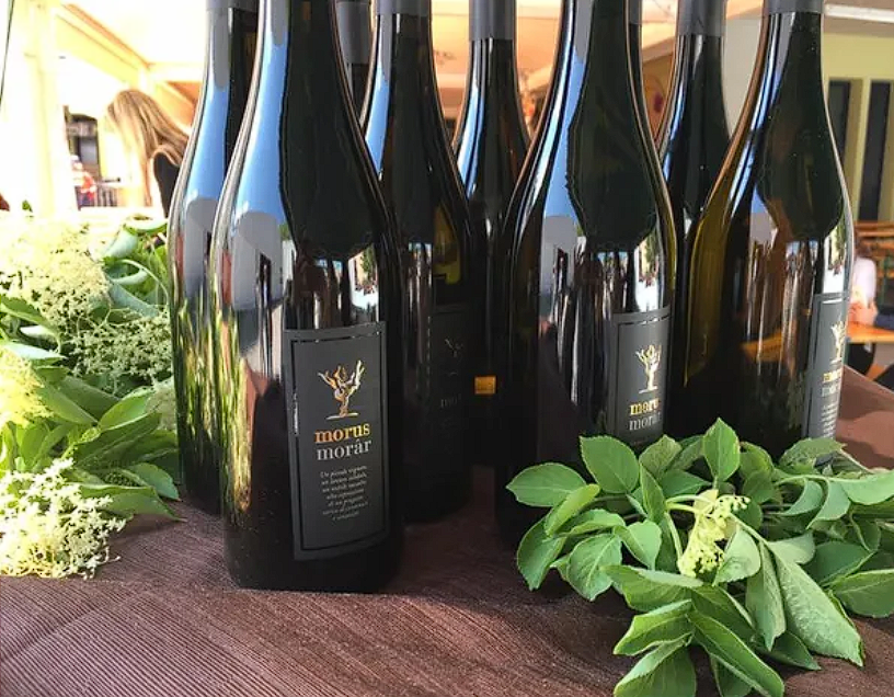 Copertina per L'etichetta del vino che racconta la comunità, gara per giovani creativi a Moraro