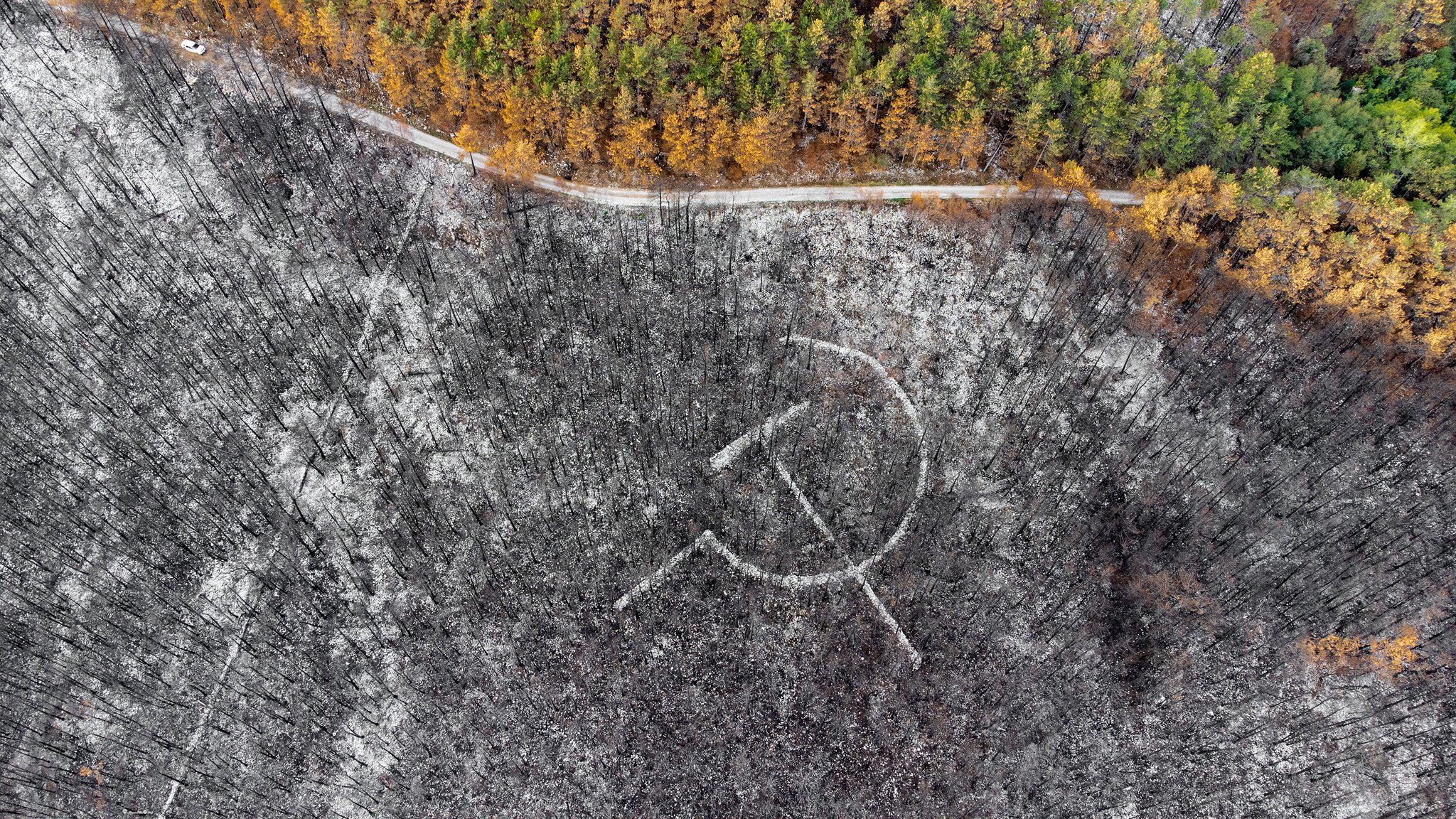 Immagine per Falce e martello sul Carso, simbolo riemerso dopo il rogo in Slovenia