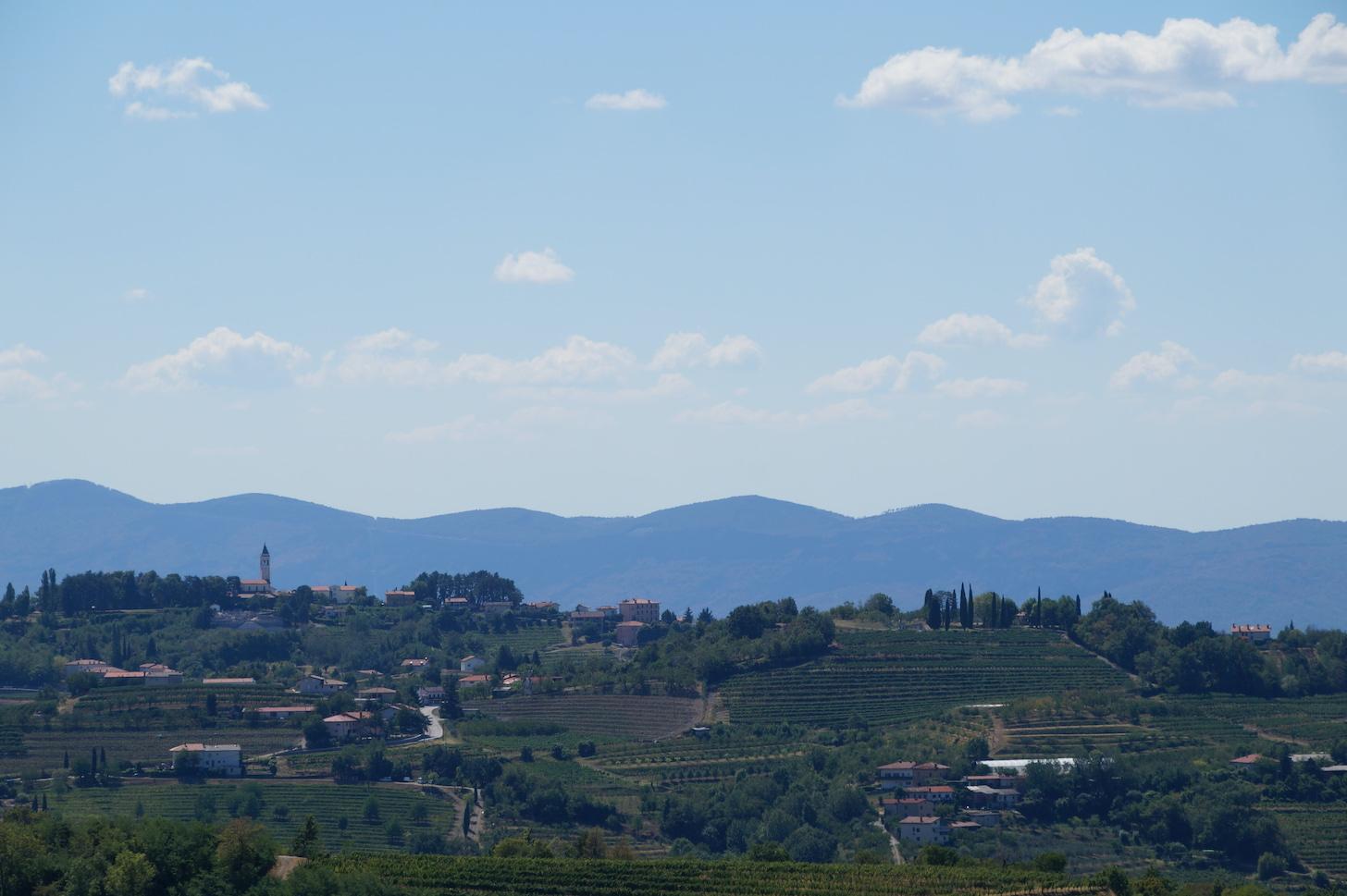 Candidatura Unesco, Pd conta i mesi: «Silenzio sul Collio-Brda» 