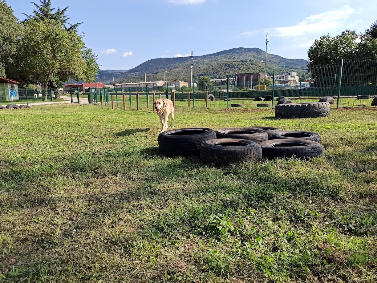 Copertina per Apre il nuovo parco cani sul confine a Nova Gorica, 800 mq per correre