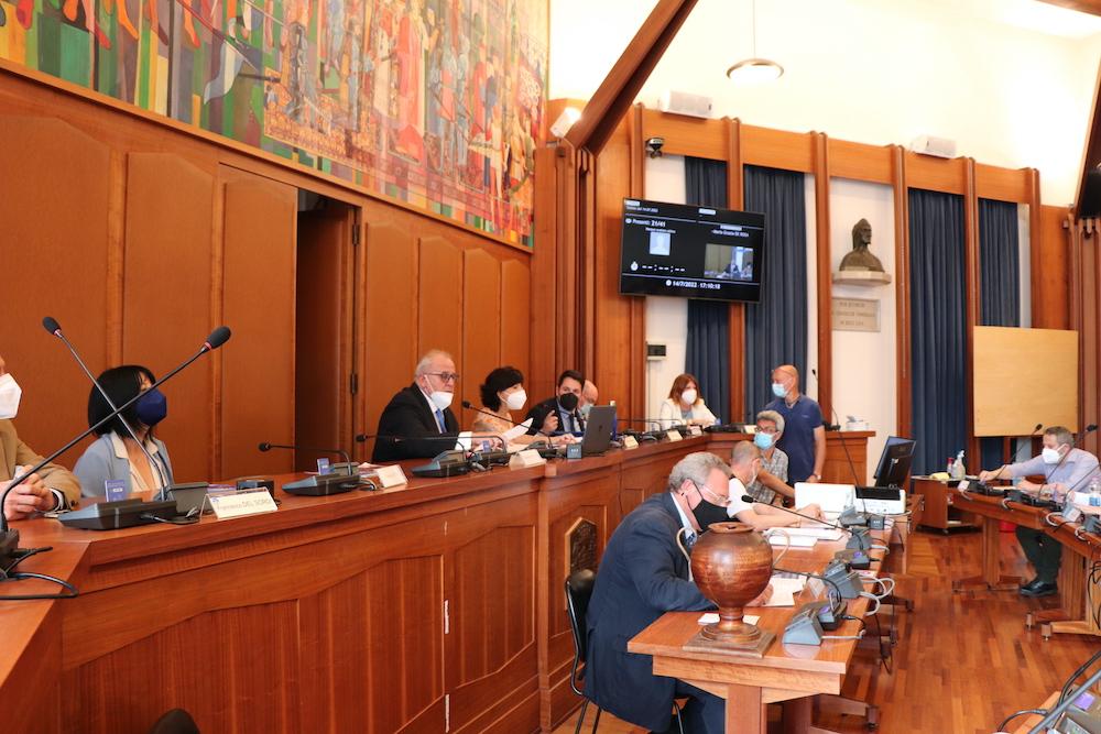 Immagine per Gorizia, partecipa online al consiglio comunale: critiche in Aula
