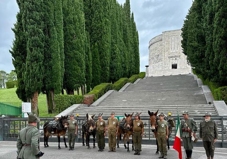 Immagine per Muli e alpini omaggiano i caduti a Oslavia, 3 giorni dedicati agli animali