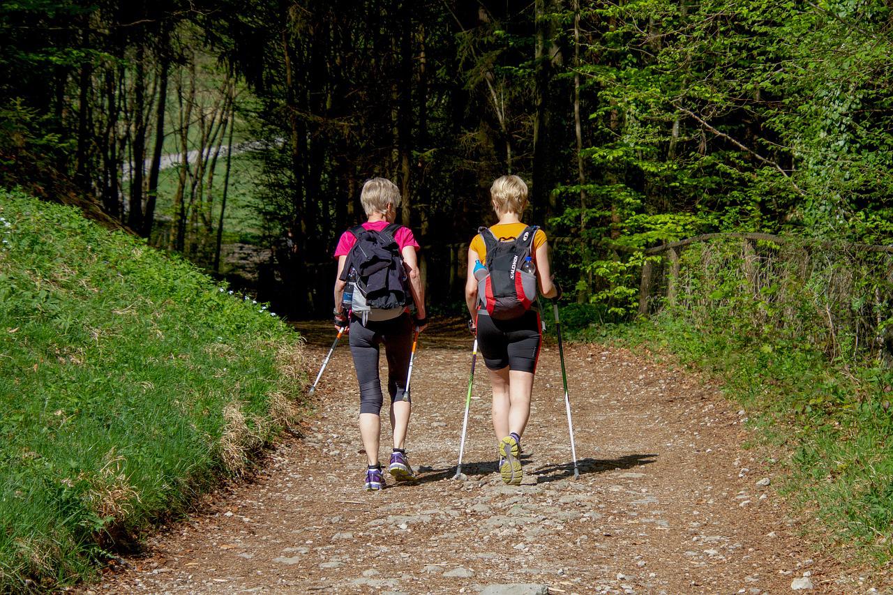 Copertina per Escursioni e natura con la Settimana della mobilità a Duino Aurisina