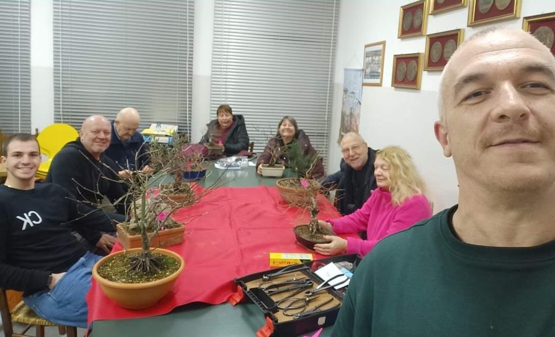 Copertina per Come far crescere un bonsai in casa, quei legami con la filosofia zen a Gorizia